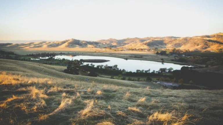 Lagoon Valley Park Mtb Trail, a dog-friendly hiking trail in Vacaville, California